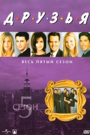 Друзья / Friends 5 сезон: дата выхода серий, рейтинг, отзывы на сериал и список всех серий